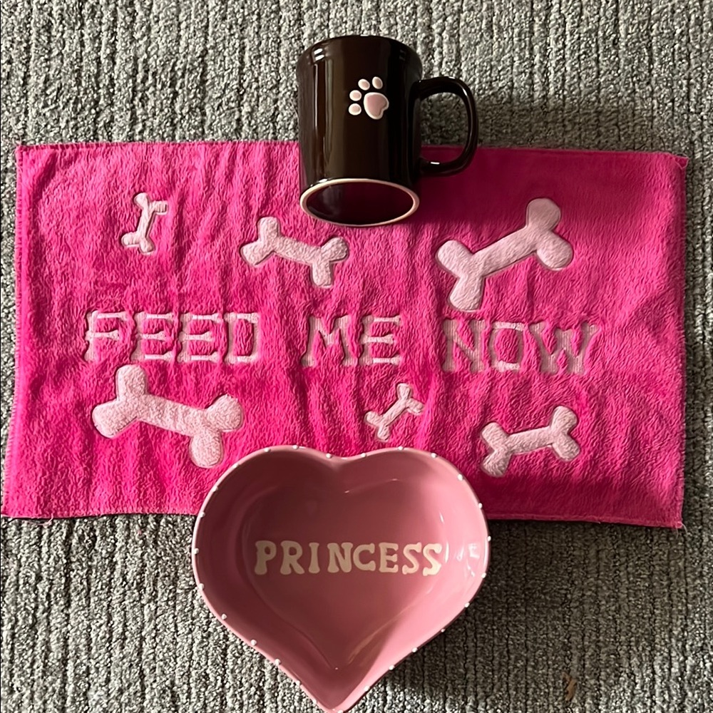 Princess Pink Dog Feeding Set w/matching mug